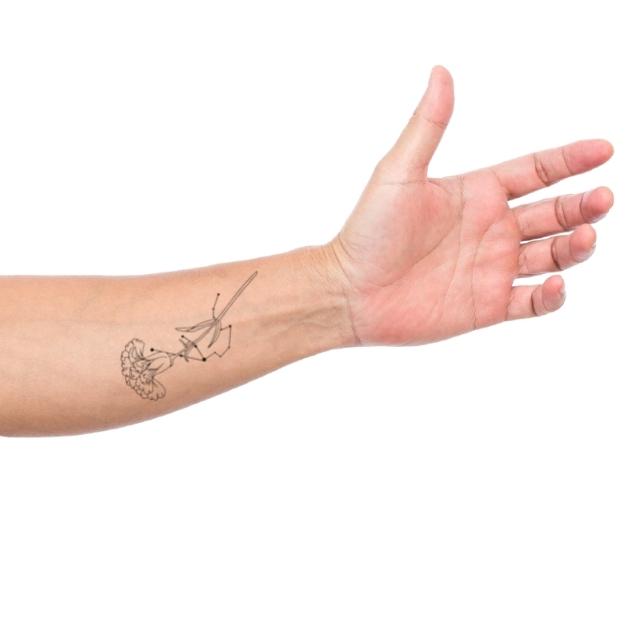 Aquarius Hand Tattoo Ideas | TikTok