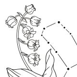 Small Gemini Lilly of The Valley Constellation Tattoo Design detail