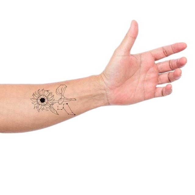 Pisces Constellation Temporary Tattoo Set (2 tattoos) – TattooIcon