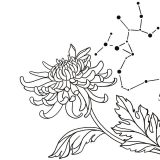 Small Sagittarius Chrysanthemum Constellation Tattoo Design detail